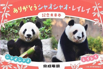 上野動物園の双子パンダ、まもなく返還　京成電鉄が記念乗車券発売