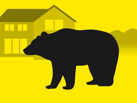 トライアスロン大会でクマ対策　出没時、主催者判断を明確化