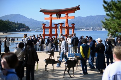広島・宮島の来島者、2年連続で過去最多更新　インバウンドで追い風