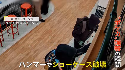 客に拳銃向け&hellip;犯行時間わずか2分　アメリカ・ニューヨークでポケモンカード強盗　被害総額約1600万円