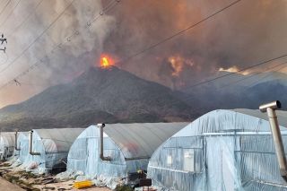 異常気象で被害、「絶望」の農家たち&hellip;韓国で電力会社を提訴　パリ協定10年、温室効果ガスの排出責任は