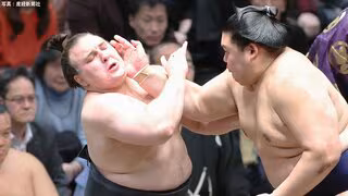 安青錦が大の里に完敗で3敗目...20年ぶり新大関Vへ 熱海富士と3敗で並んで千秋楽へ 4敗勢4人が逆転Vの可能性残す