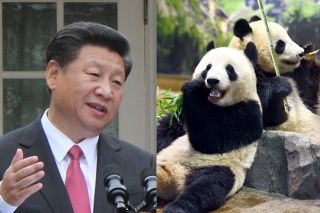 「パンダゼロ」の国・日本、当分続きそう　中国が「貸し出すメリット」、決定権握るのはあの人だから&hellip;