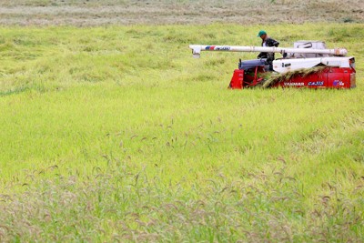 スーパーのコメ平均価格、5キロ4188円　2週ぶりに下落