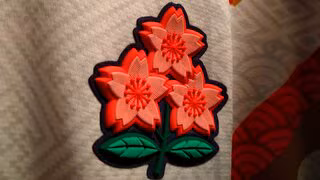 【ラグビー】「エディーＪＡＰＡＮ」日本代表候補５５人を発表　リーチマイケル選手や齋藤直人選手らに加えてノンキャップ組が１２人　大学生から明治大・伊藤龍之介選手ら５人がメンバー入り