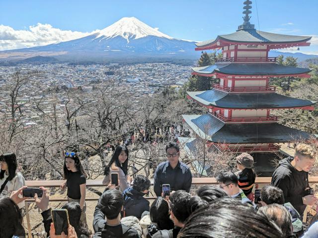 富士山+五重塔の映えスポット、桜まつり中止　観光公害「もう限界」