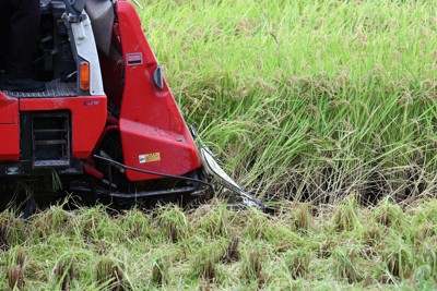 25年コメ輸出量、過去最多も目標に遠く及ばず　増産計画に影響も