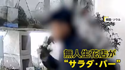 無人生花店で男が草花やコケをムシャムシャ&hellip;花瓶の水も飲み干す　3時間で店内は無残な姿に　韓国・ソウル