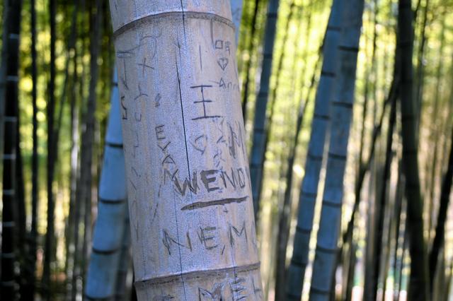 竹林に落書きする観光客、声かけたら「え、どうして？」　京都の名所