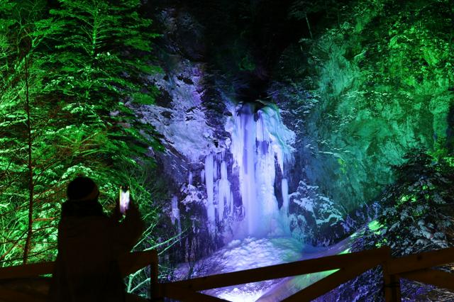 闇夜に浮かぶ幻想の氷瀑　奥飛驒の平湯大滝で試験点灯