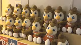 ドラフラ広島出身･佐古竜誠が特別指定選手で新加入　ドラゴンフライズU15出身　「地元の子供たちのロールモデルに」