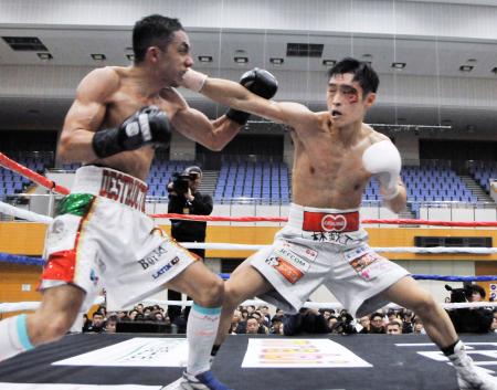 西田、挑戦者決定戦制す　ＩＢＦスーパーバンタム級