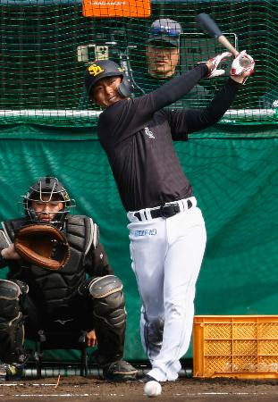 今宮、１４年連続開幕先発へ　ソフトバンク、野村と競争