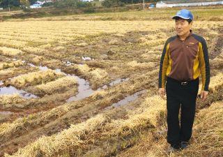 お米が安い韓国、日本の約半額でも「少し高い」&hellip;どんな食糧政策をやっている？　そこには特殊事情も