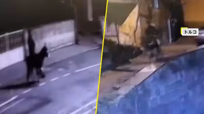 ロバに乗った強盗犯が逃走&hellip;フォークリフトでシャッターこじ開け金150グラム強奪も逃げ切れず　ロバは&ldquo;飼いロバ&rdquo;　トルコ