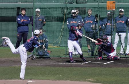 小園、実戦形式で快音　ＷＢＣ日本代表合宿