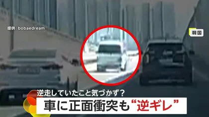 「何考えてるんだ？」目の前で逆走トラックが車と正面衝突　運転手は&ldquo;逆ギレ&rdquo;も過失に気付き謝罪　3人けが　韓国