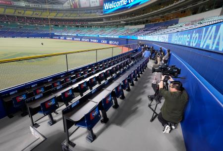 ナゴヤドーム外野に新テラス席　中日本拠地、ホームラン楽しんで