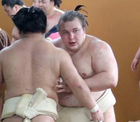 安青錦、霧島らに７勝２敗　３場所連続優勝と綱とり狙う