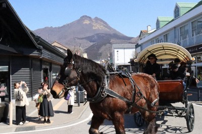 パッカ、パッカ　春告げるひづめの音　由布院で観光辻馬車開き