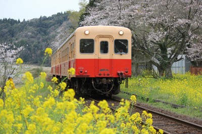 住所関係なし　年間1万円で乗り放題　千葉・小湊鉄道学生パス発売へ