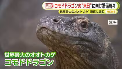 世界最大のオオトカゲ・コモドドラゴンの&ldquo;来日&rdquo;に向け準備着々　視察に調印　インドネシアの国獣が静岡へ
