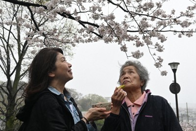 「お花見」で高齢者の外出支援　横浜の事業所がサービス開始